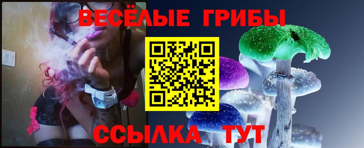 Псилоцибиновые грибы Psilocybe Каменск-Уральский